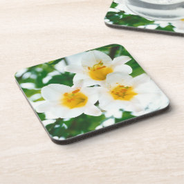 Porta-copo Lírios brancos - Lily Flower Lilium candidata