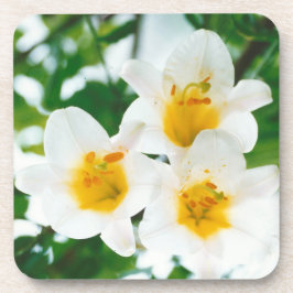 Porta-copo Lírios brancos - Símbolo do amor