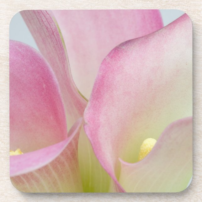 Porta-copo Lírios-de-calla Rosa (Frente)