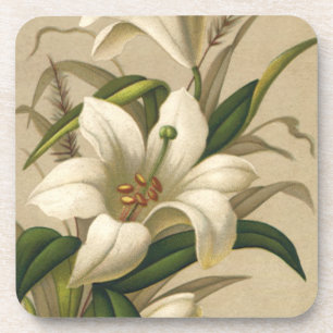 Porta-copo Lírios de Páscoa Antigos, Flores Vitorianas em Flo