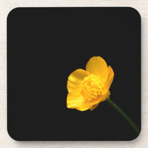 Porta-copo Litoral da Flor do ButterCup