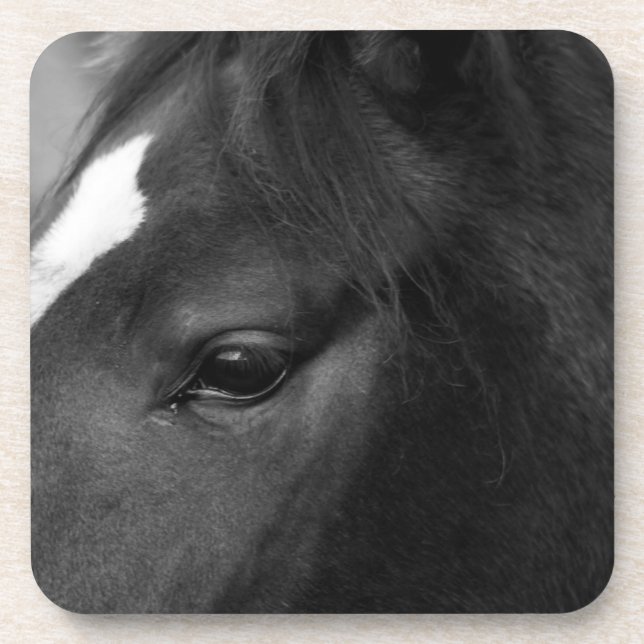 Porta-copo Litoral equino (Frente)