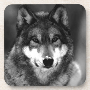 Porta-copo Lobo