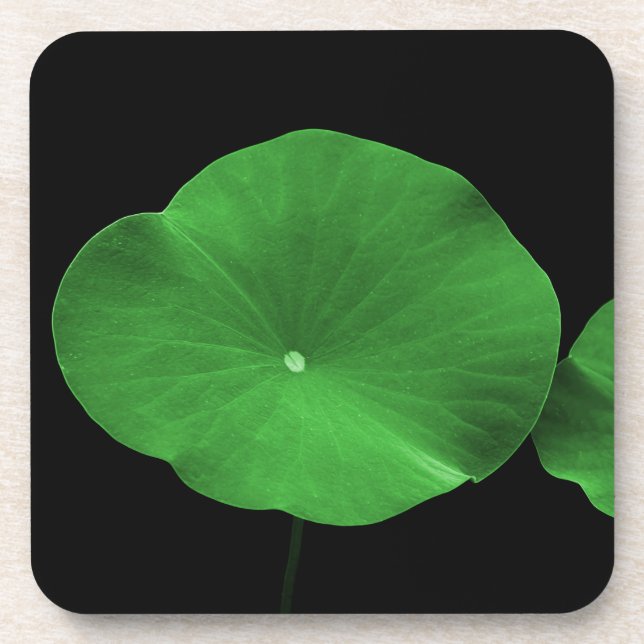 Porta-copo Lotus Folaves (Frente)