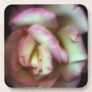 Porta-copo <Love is a Rose> por Nathan Griffith