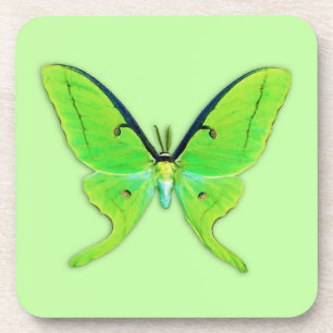 Porta-copo Luna moth com um fundo verde pálido