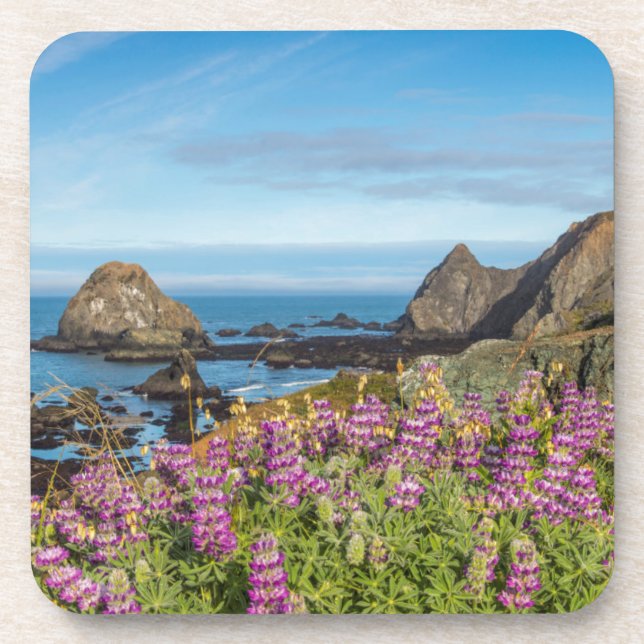 Porta-copo Lupine Wildflower Cobrir As Colinas (Frente)