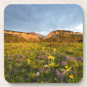 Porta-copo Luzes do Nascer do Sol Blackleaf Canyon