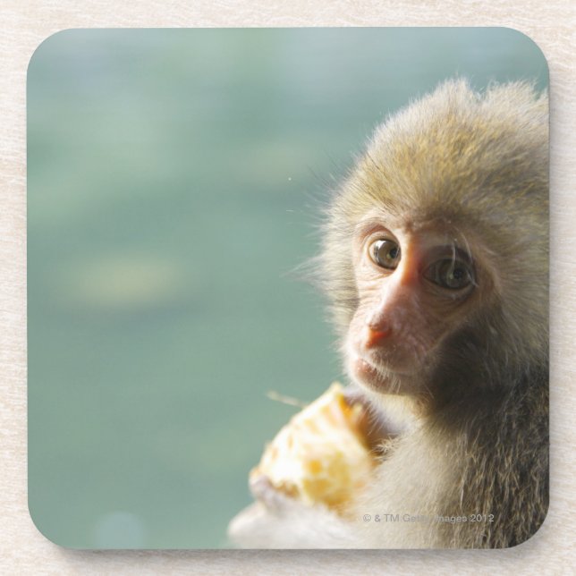 Porta-copo Macaco (Frente)