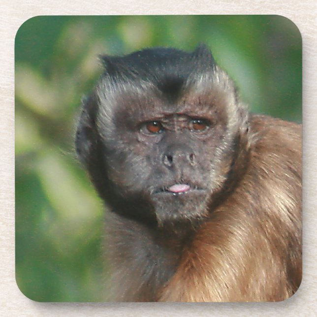 Porta-copo Macaco Capuchin, Cute Mas Cranky (Frente)