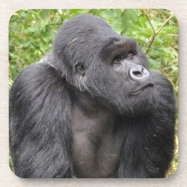 Porta-copo Macaco Feliz (Frente)