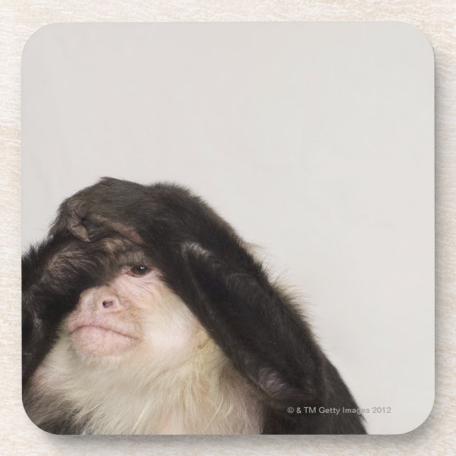 Porta-copo Macaco que cobre seus olhos (Frente)