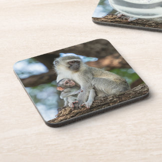 Porta-copo Macaco Vervet Atencioso – Inspirado na Natureza