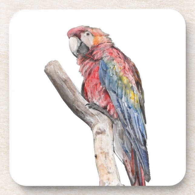 Porta-copo Macaw Parrot Watercolor (Frente)