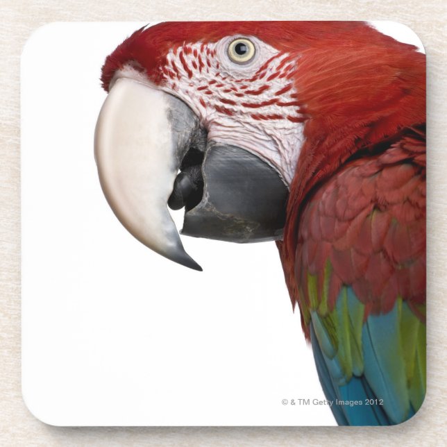 Porta-copo Macaw Vermelho-e-verde - chloropterus do Ara (Frente)