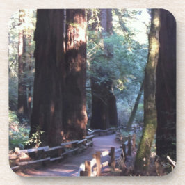 Porta-copo Madeiras de Muir