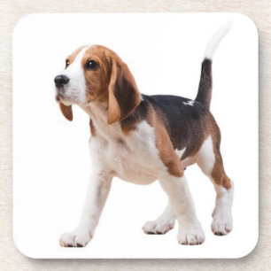 Porta-copo Mãe de Beagle Fofa Amante de Cachorro Pai de Cacho