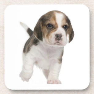 Porta-copo Mãe de Beagle Fofa Amante de Cachorro Pai de Cacho
