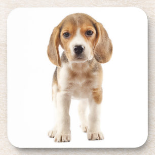 Porta-copo Mãe de Beagle Fofa Amante de Cachorro Pai de Cacho