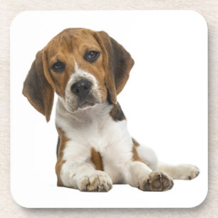 Porta-copo Mãe de Beagle Fofa Amante de Cachorro Pai de Cacho