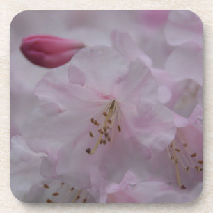 Porta-copo Mãe's Caress