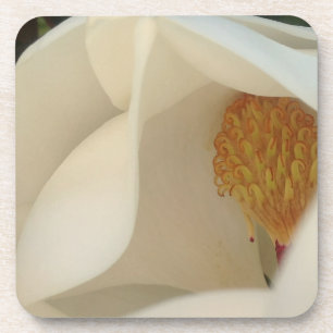 Porta-copo Magnolia Floral Fine Art Fotografia