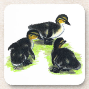 Porta-copo Mallard Ducklings