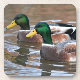 Porta-copo Mallard Ducks