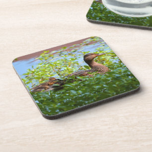 Porta-copo Mallard e Ducklings por Shirley Taylor