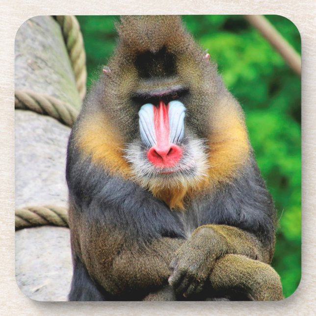 Porta-copo Mandrill 001 (Frente)