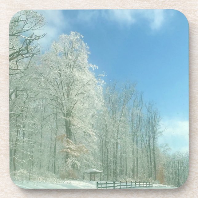 Porta-copo manhã de inverno (Frente)