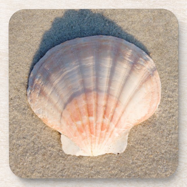 Porta-copo Mar Shell que coloca no Sandy Beach (Frente)