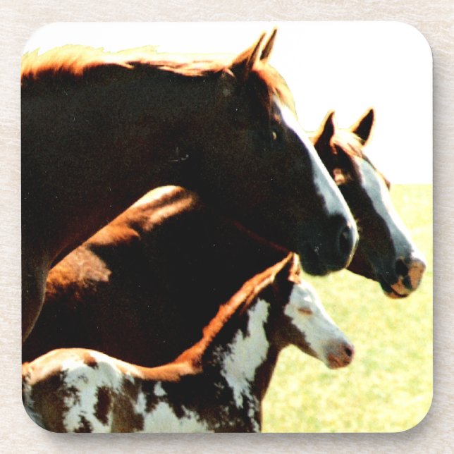 Porta-copo Mares e Cavalos de Foul (Frente)