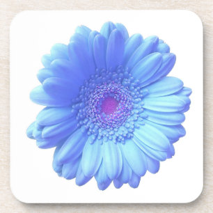 Porta-copo Margarida azul do gerbera