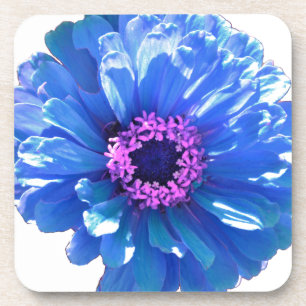 Porta-copo Margarida azul floral Elegante
