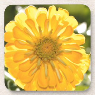 Porta-copo Margarida floral amarela elegante