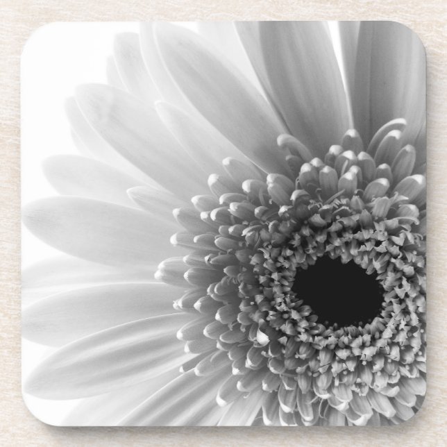 Porta-copo Margarida Gerbera (Frente)