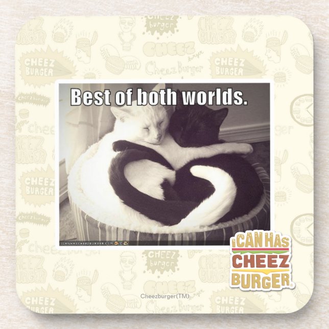 Porta-copo Melhor de ambos os mundos (Frente)