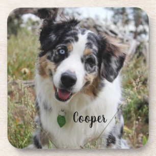 Porta-copo Merle Australian Shepherd Puppy