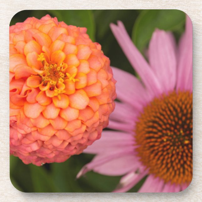 Porta-copo Michigan, Dearborn, Greenfield Village. Pêssego (Frente)