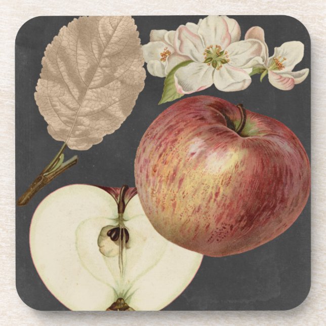 Porta-copo Midnight Harvest II (Frente)