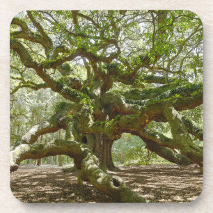 Porta-copo Mighty Angel Oak