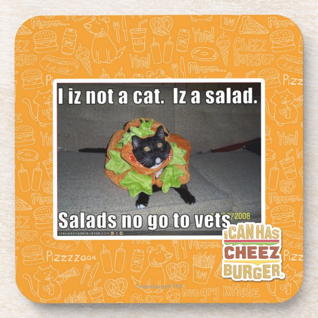 Porta-copo Mim iz não um gato. Iz um salad. (Frente)