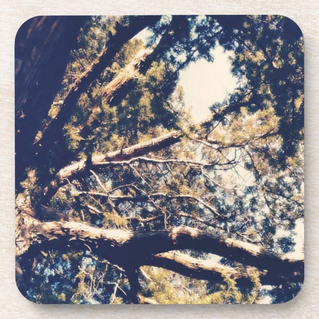 Porta-copo Minha árvore favorita (Frente)