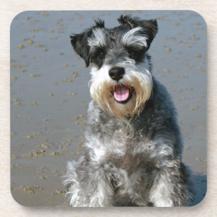 Porta-copo mini schnauzer-no beach.png