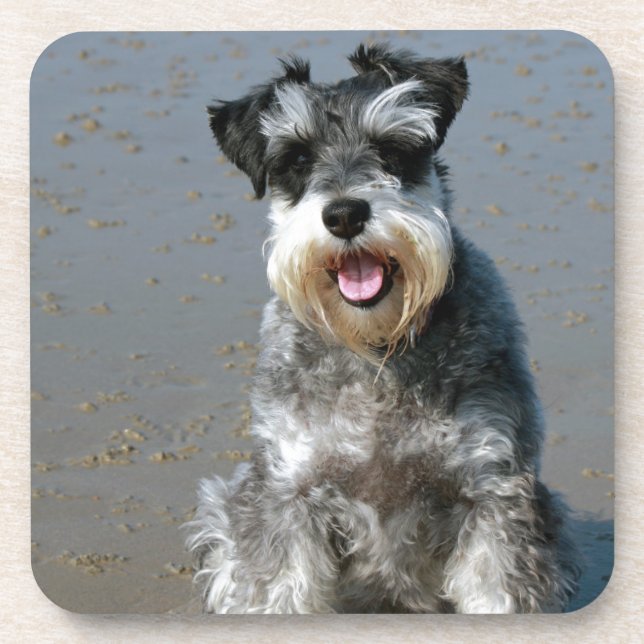 Porta-copo mini schnauzer-no beach.png (Frente)