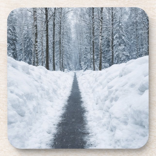 Porta-copo Misty Winter Forest Path Winter Landscape (Frente)