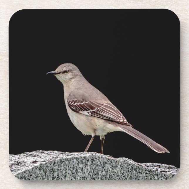 Porta-copo Mockingbird numa tombstone (Frente)