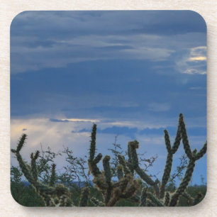 Porta-copo Monção do Deserto de Cactus
