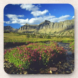 Porta-copo Monkeyflowers em Logan Pass no Glacier National